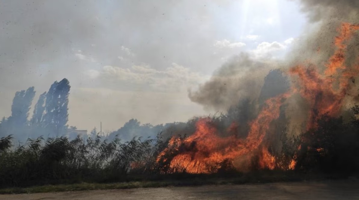 В окупованому Криму заборонили ходити в ліс до 5 серпня