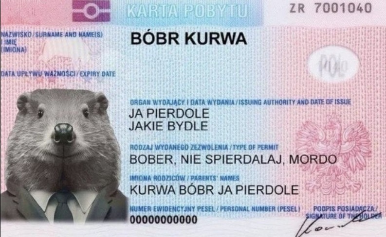 Почему на российских дронах, атаковавших Польшу, было написано “За Маргариту Симоньян”?