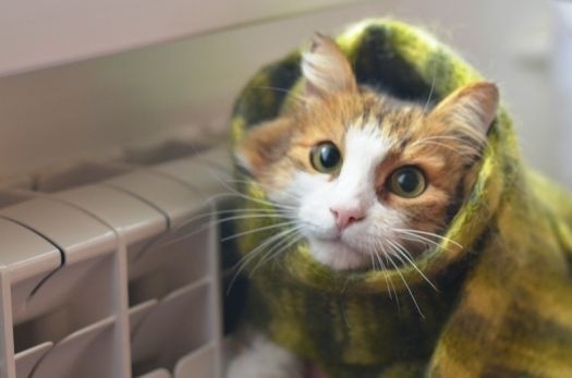 Окупанти зривають опалювальний сезон у Криму