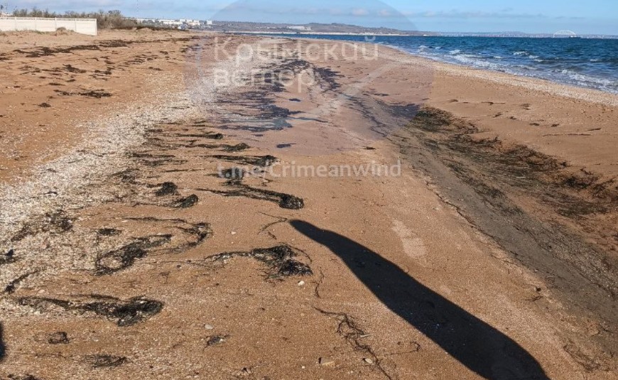 В окупованій Керчі весь берег у російському мазуті