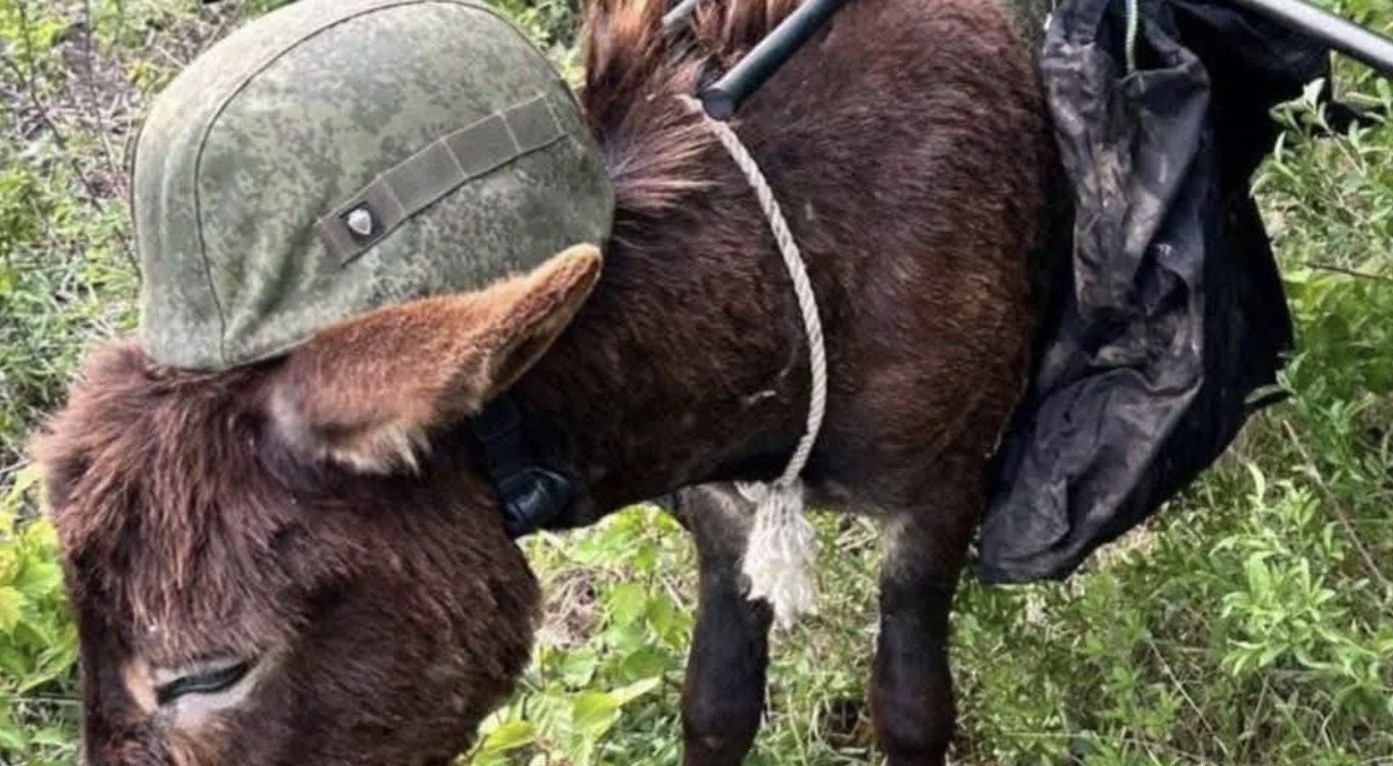 Чому в Росії заборонили святкувати Вялікую Пабєду за 1418 днів?