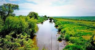 У річках окупованого Криму виявили хімічне забруднення