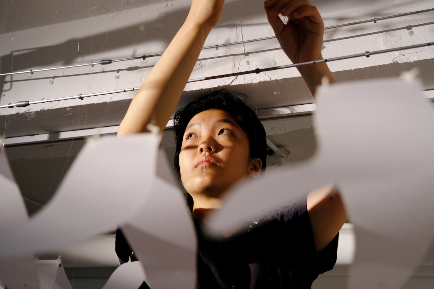 Photo of Pepi Ng installing birds to the sculpture on the ceiling. 