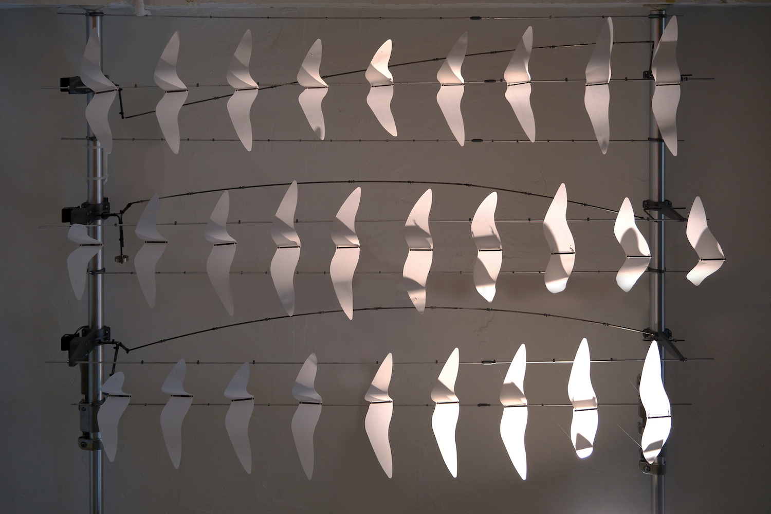 Photograph of entire sculpture, showing three rows of birds, each consisting of ten birds. 