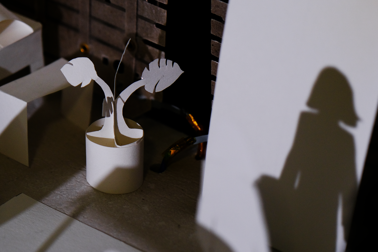 Small white paper plant sculpture casting a shadow, with a silhouette of a person on a nearby surface.
