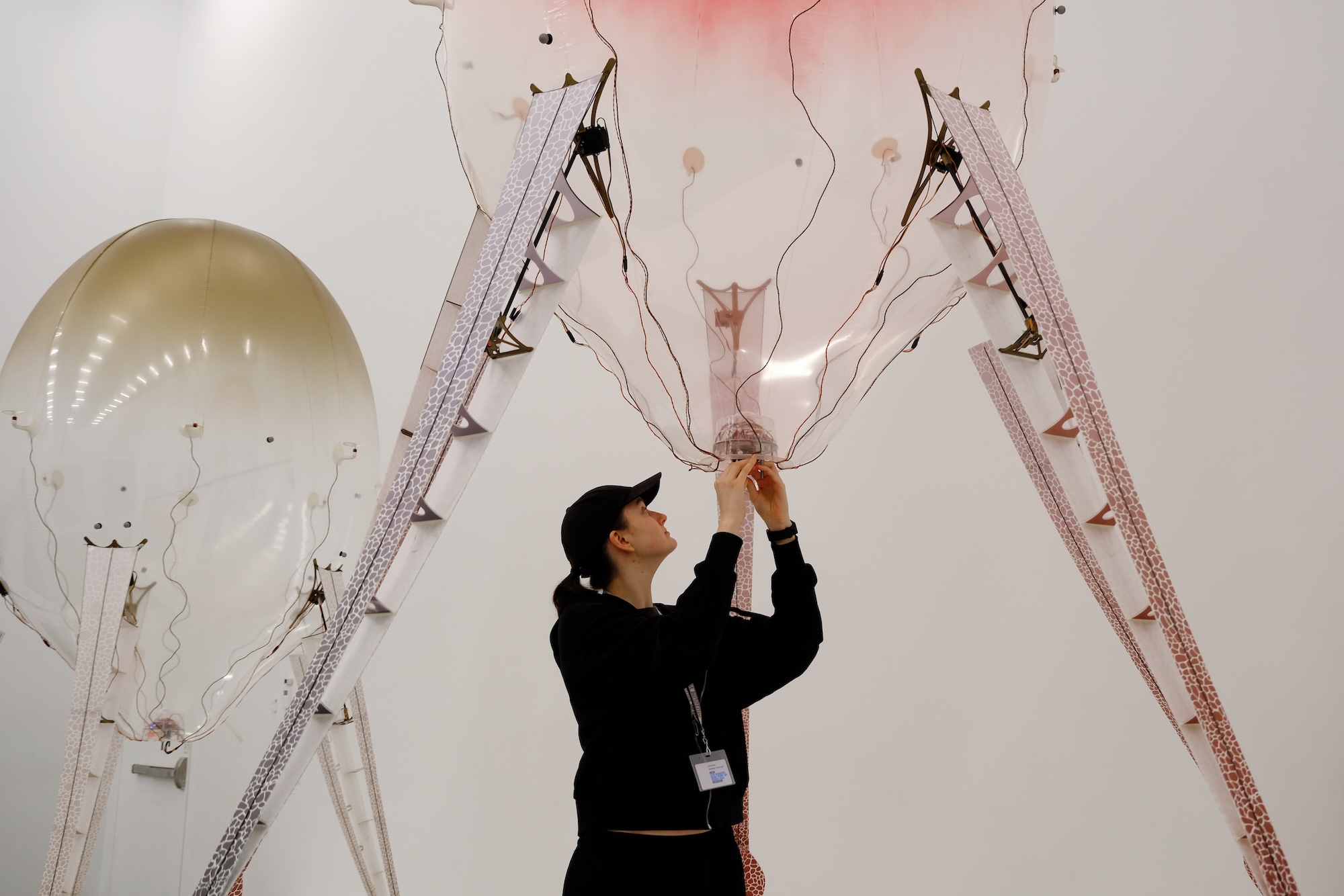 Person in black adjusting a large transparent balloon-like installation in a white room.