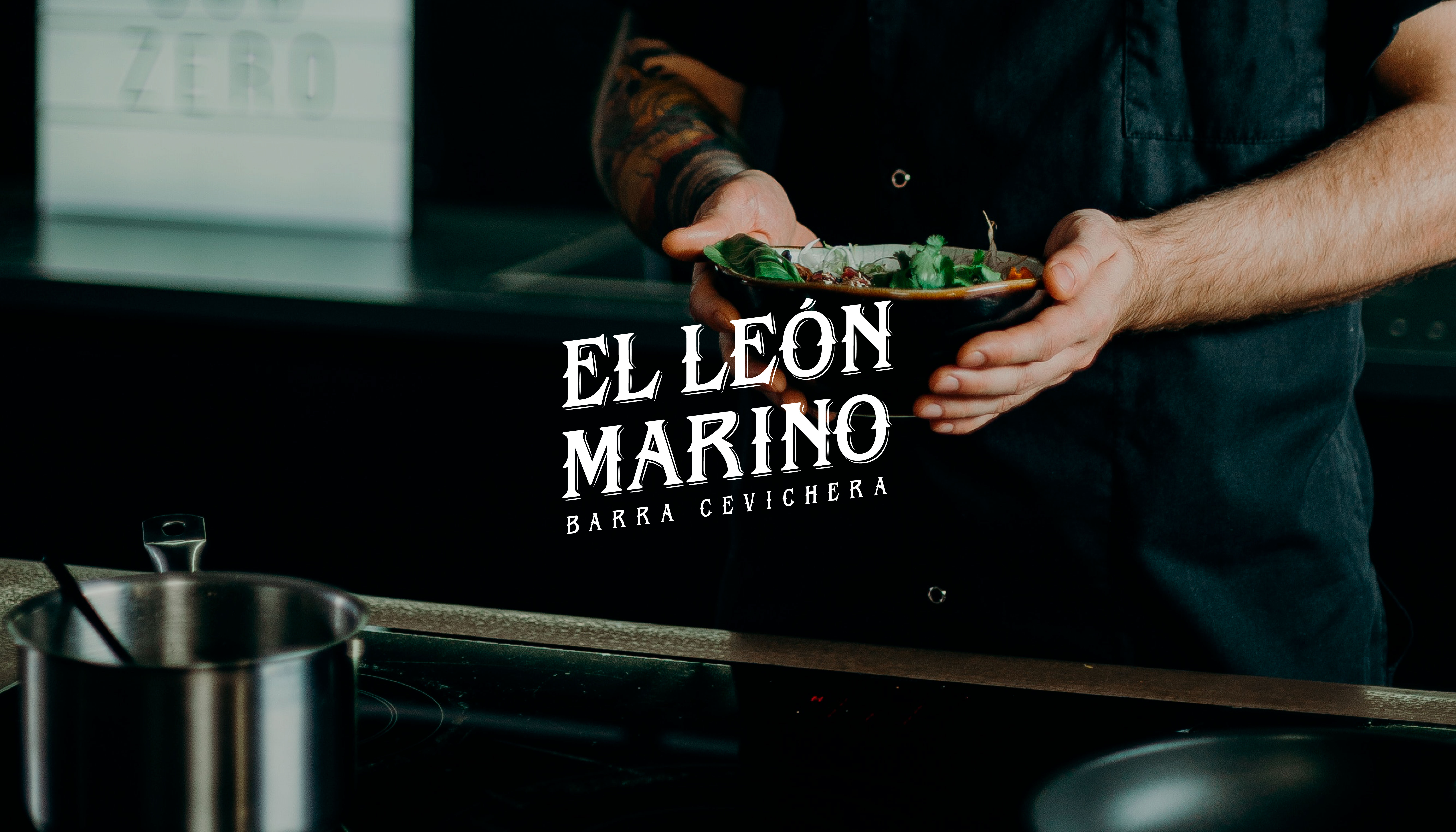EL LEON MARINO