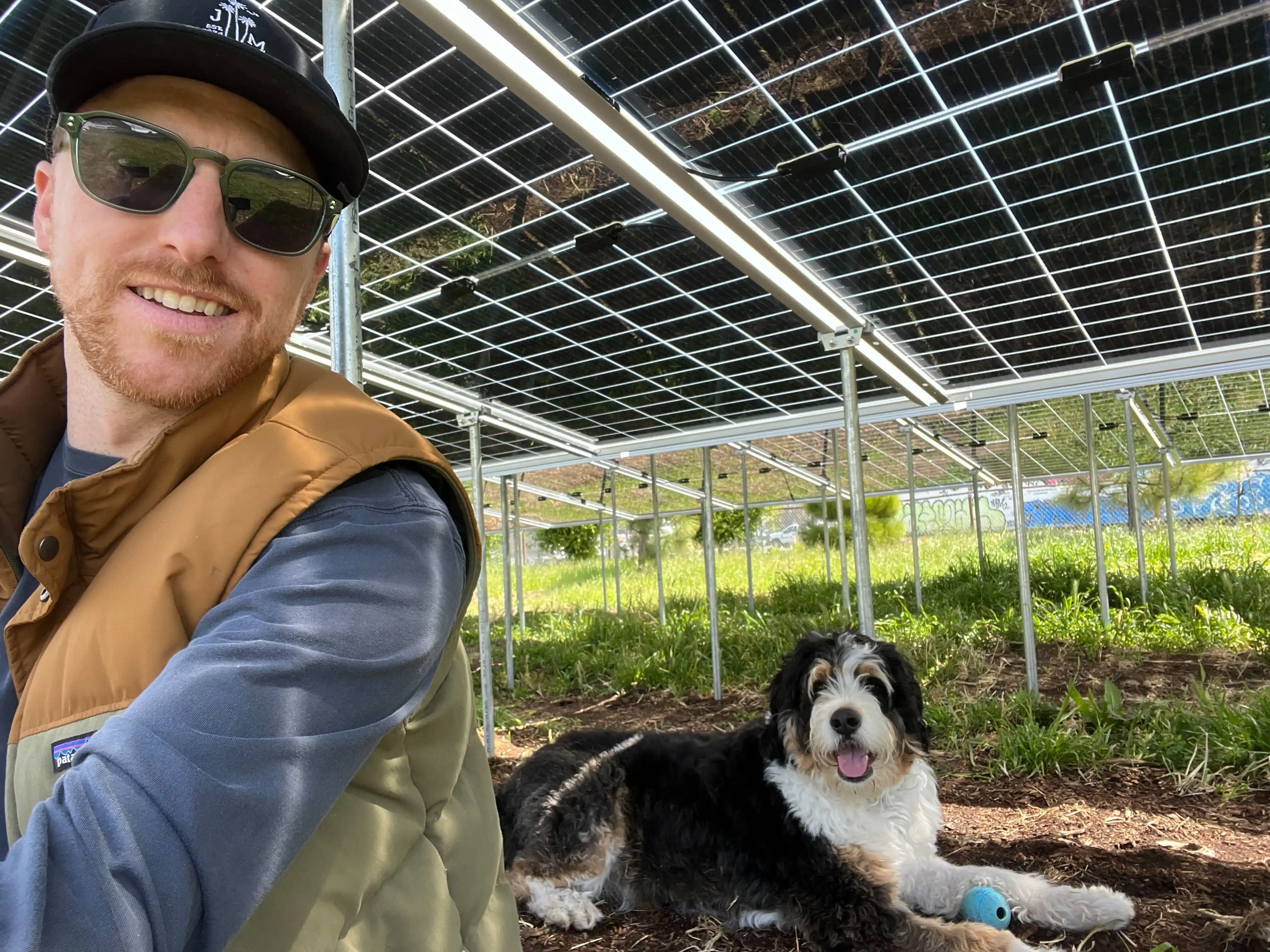 Planted Solar employee wearing sunglasses, a black cap, and a brown-and-green vest takes a selfie beside a black-and-white dog lying in the grass beneath a large array of elevated solar panels.