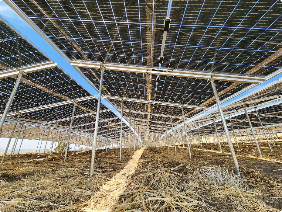 Underneath view of elevated solar panel arrays.