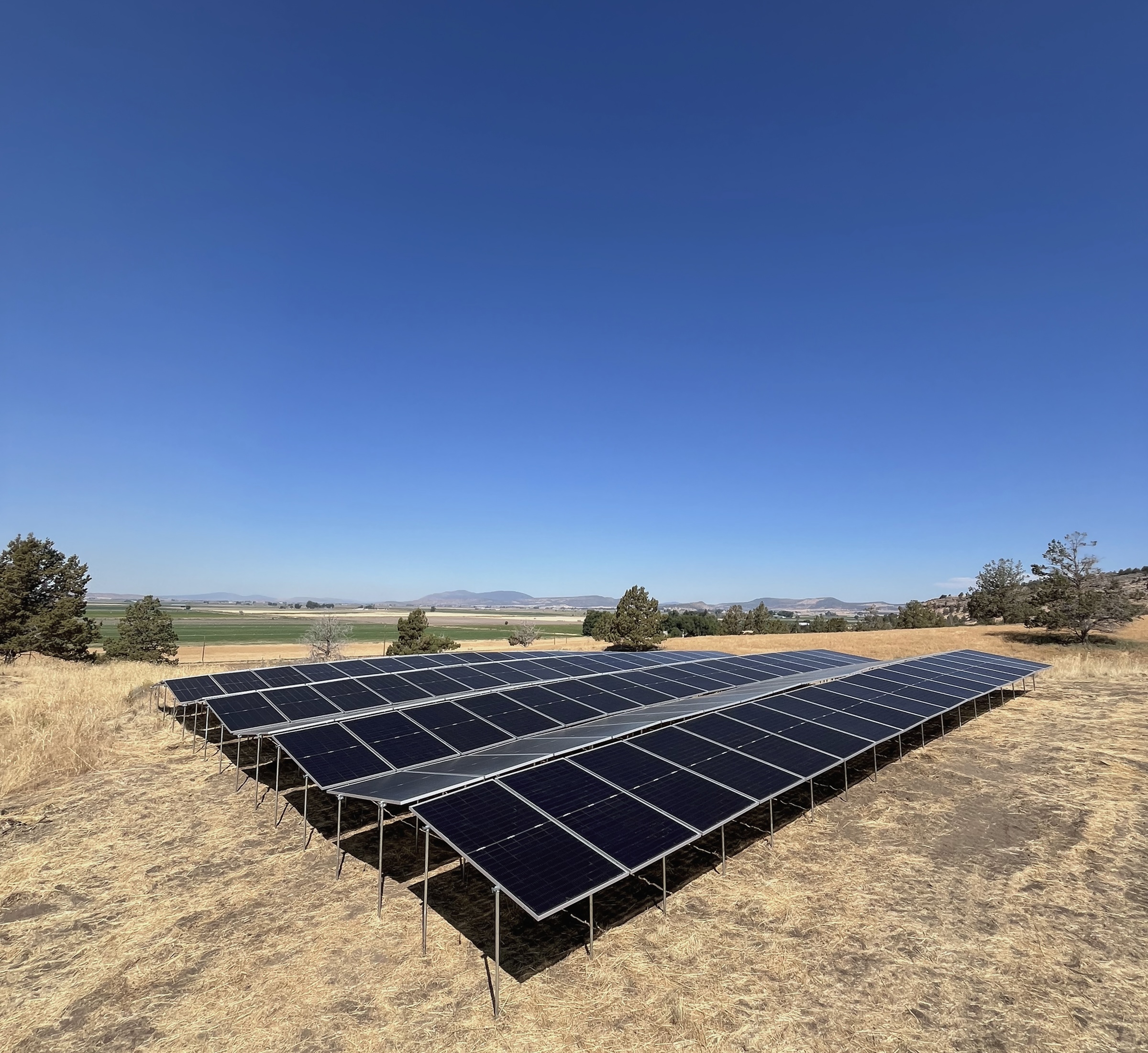 A ground-mounted solar panel array installed on a dry, grassy field under a clear blue sky