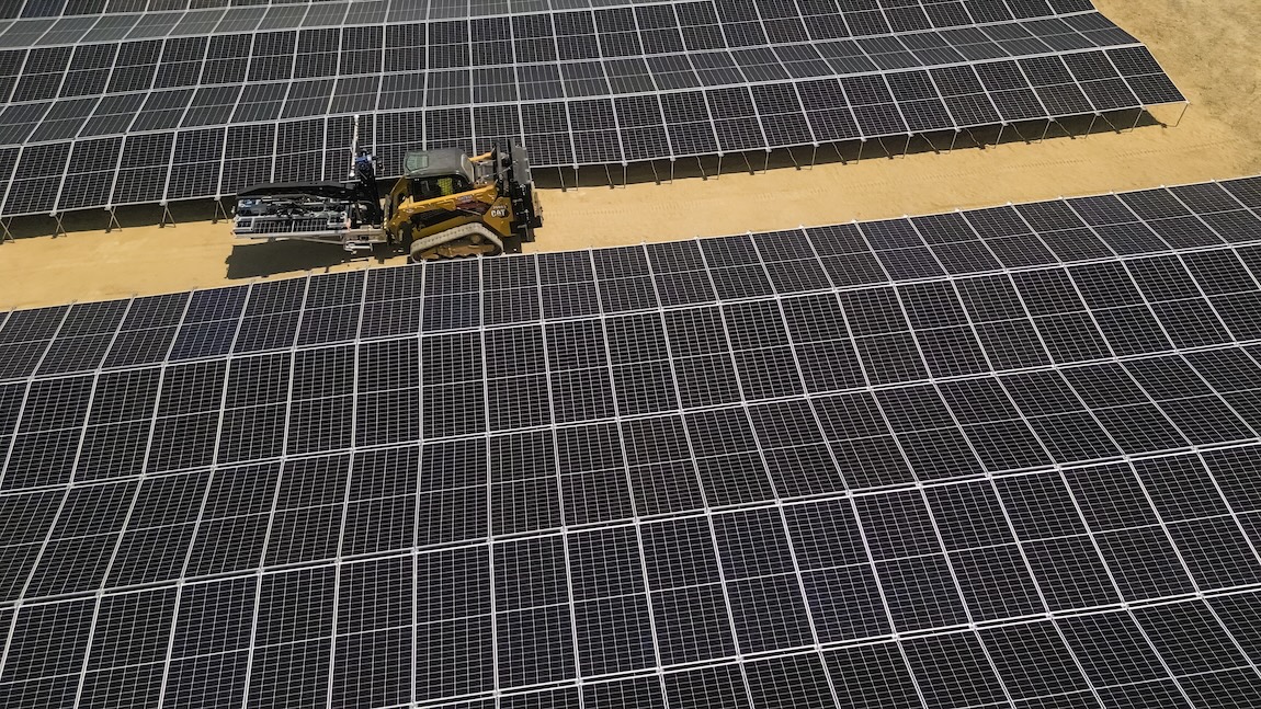 A Planted Solar array installed on existing vegetation in 2024 in Northern California