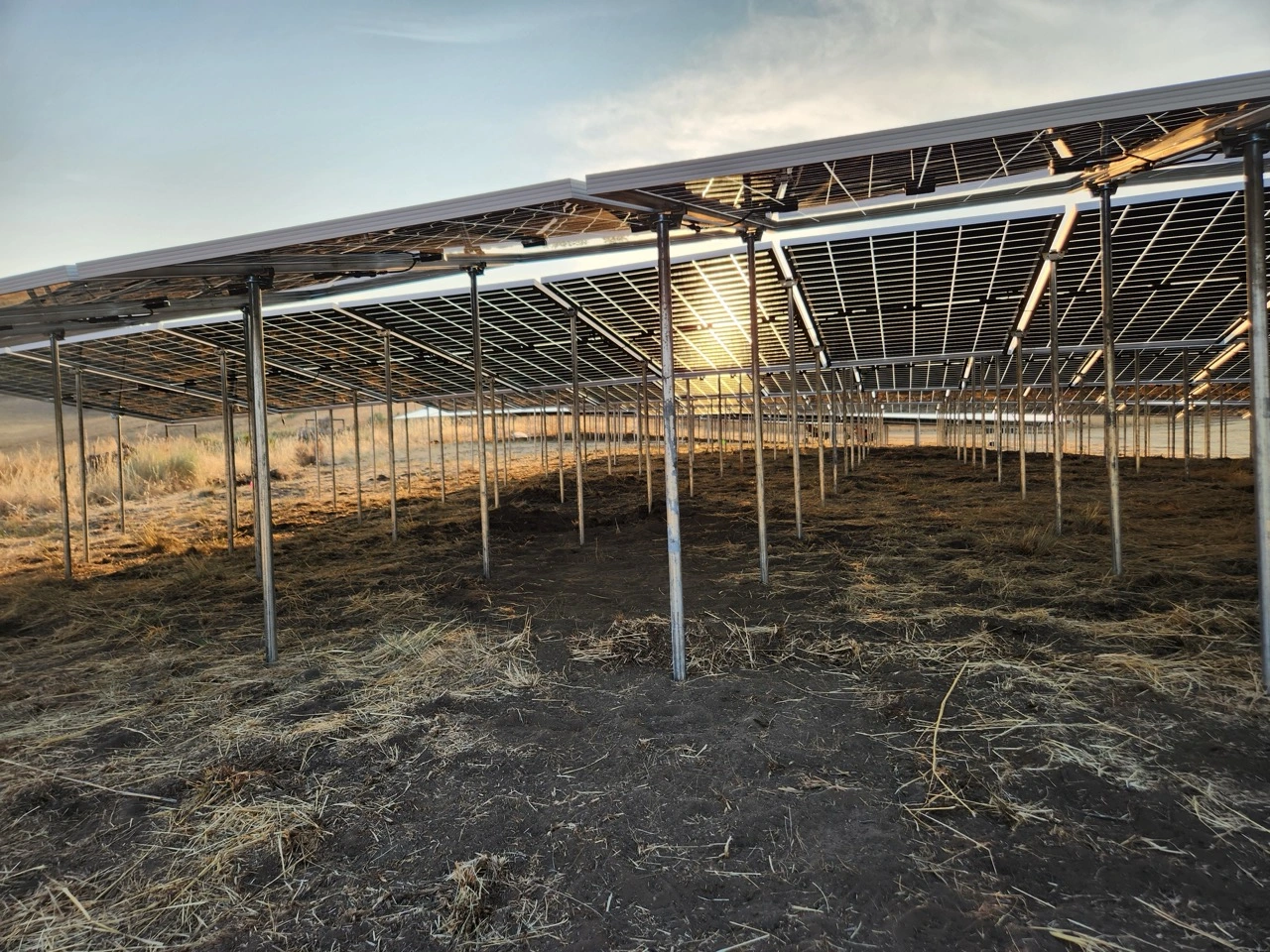 Low-angle view of a high-density ground-mounted solar array installed on undisturbed terrain, showcasing compact steel posts, terrain-following design, and minimal site grading—ideal for utility-scale solar deployment under OBBBA