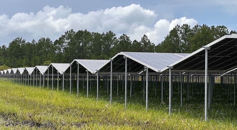 Planted Solar Receives Independent Validation of its Terrain-Following ...