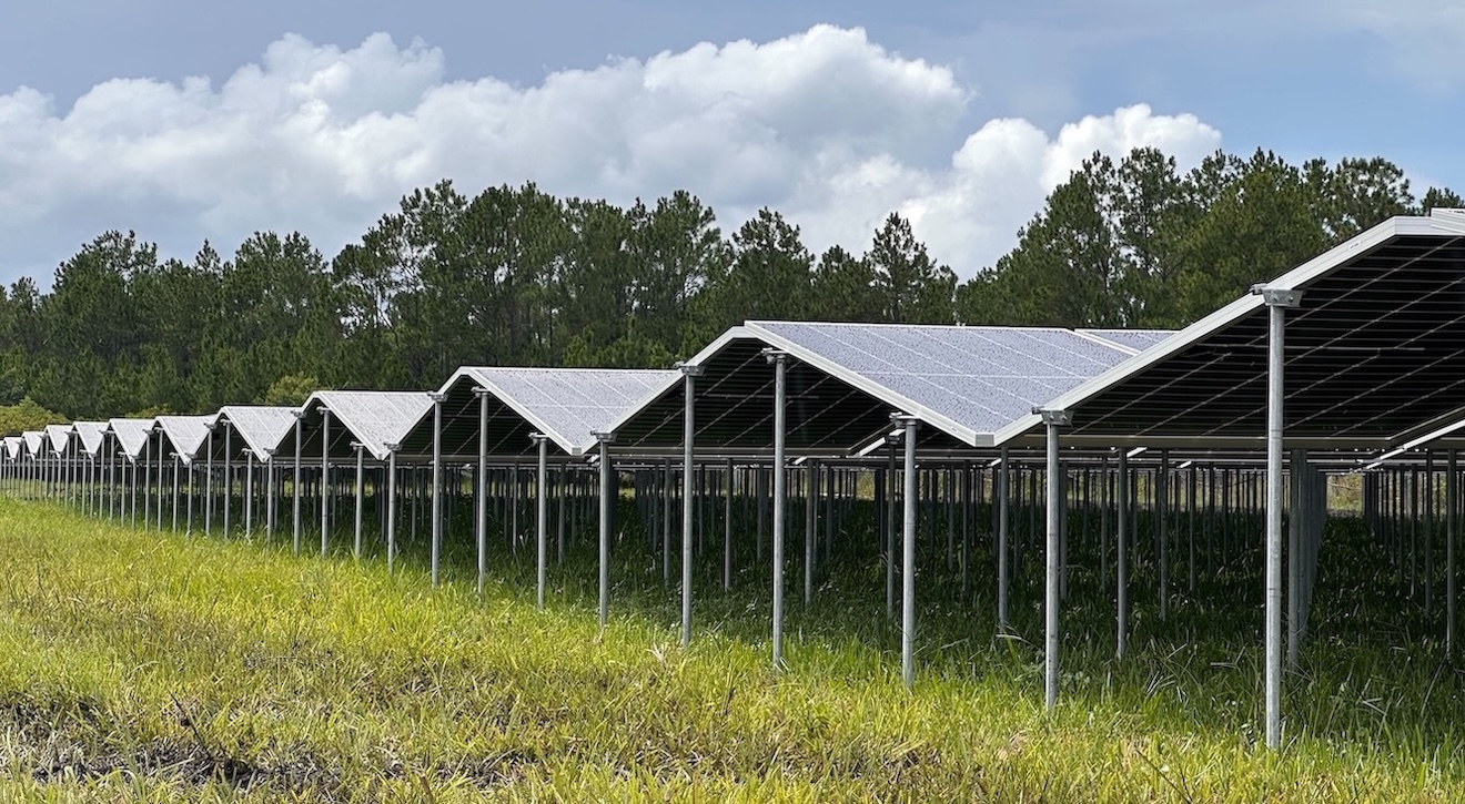 Close-up view of Planted Solar’s terrain-following fixed-tilt solar racking system during installation, showcasing high-density panels designed for faster, more efficient solar construction.