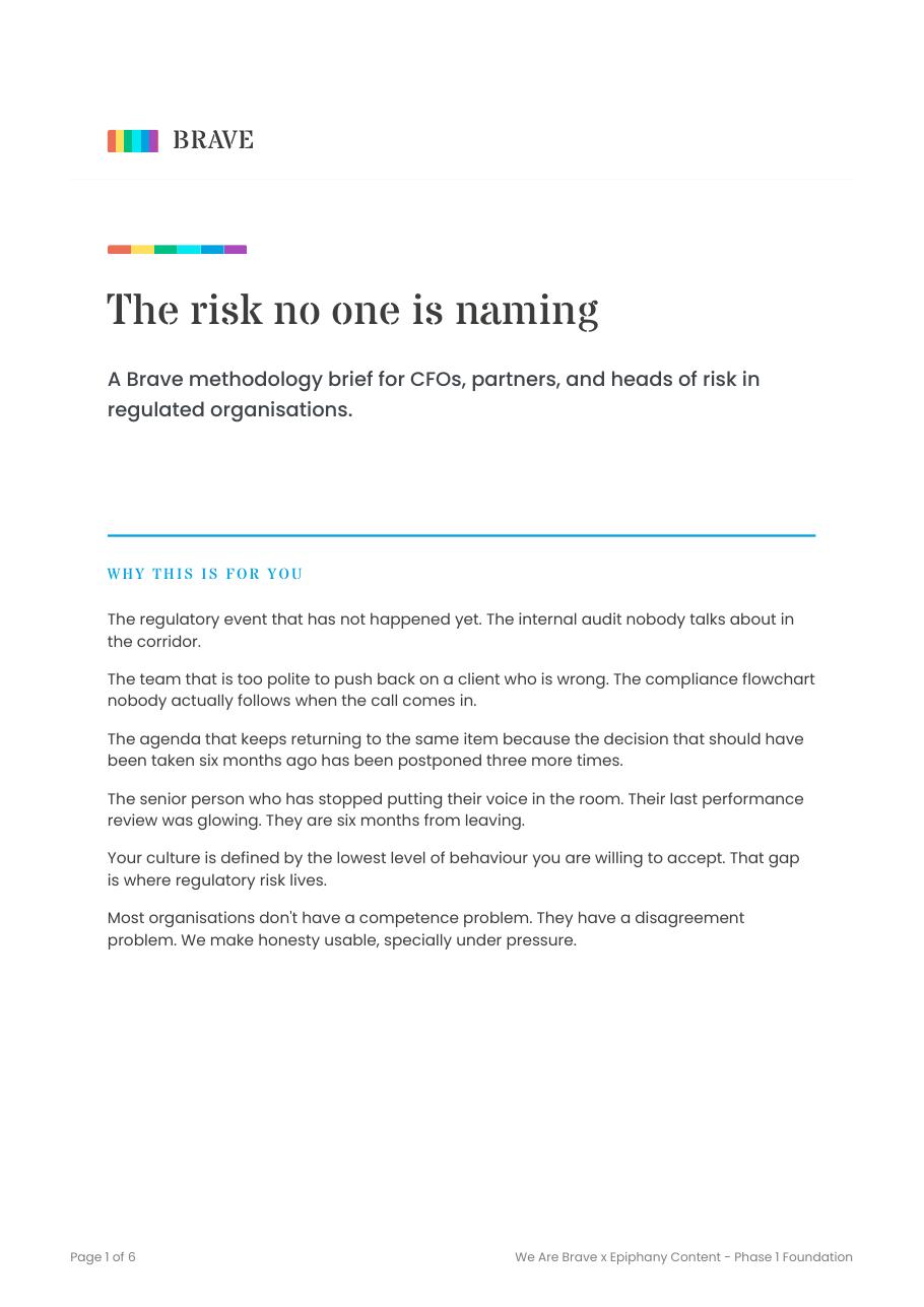 First page of the brief for leaders in regulated firms, The risk no one is naming
