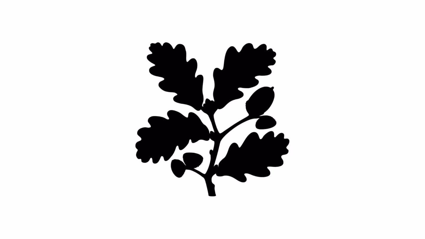 National Trust logo