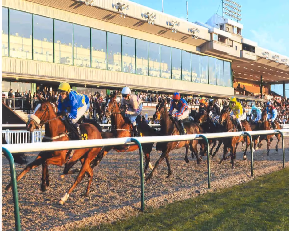 Claim your disability discount from Wolverhampton Racecourse