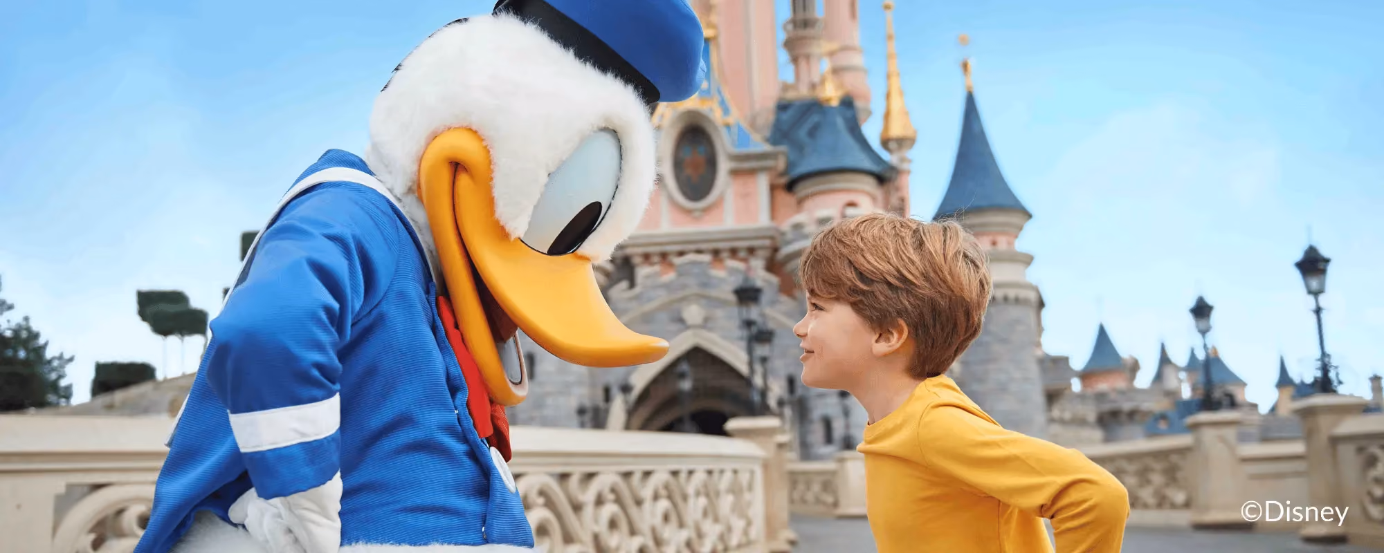 Photo of a boy and Donald Duck facing each other with the Disneyland Paris castle in the background