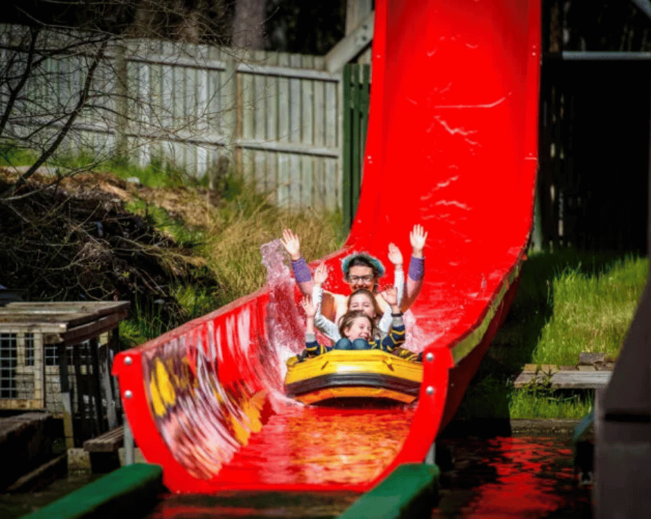 Claim your disability discount from Landmark Forest Adventure Park