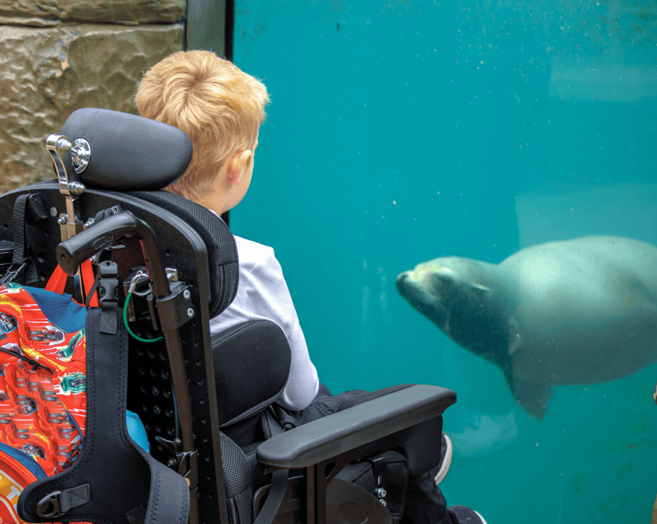 Free carers ticket for National Disability Card Holders