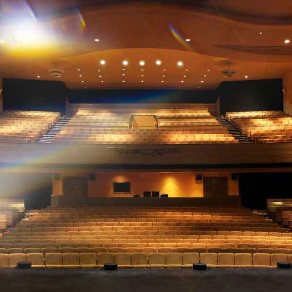 New Theatre Peterborough logo