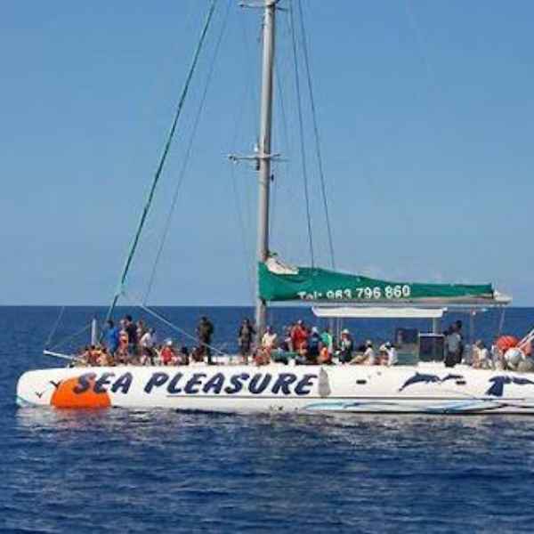 Madeira Catamaran Trip logo