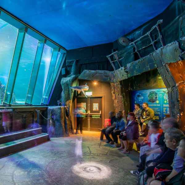 SEA LIFE Blackpool logo