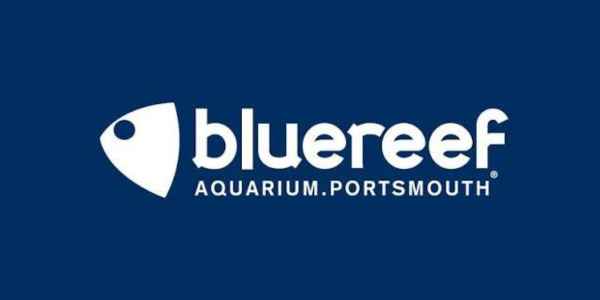 Blue Reef Aquarium Portsmouth logo