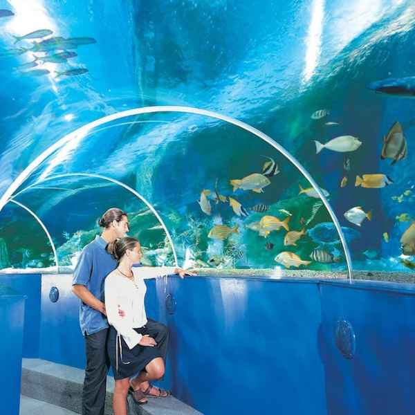 Blue Reef Aquarium Portsmouth logo