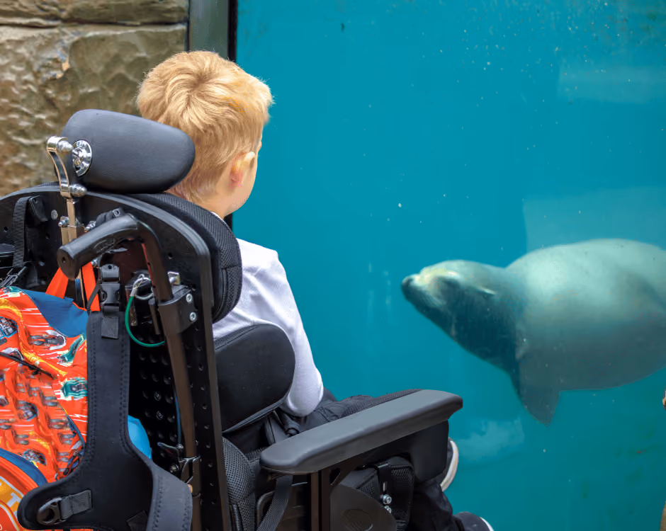 Free carers ticket for National Disability Card Holders