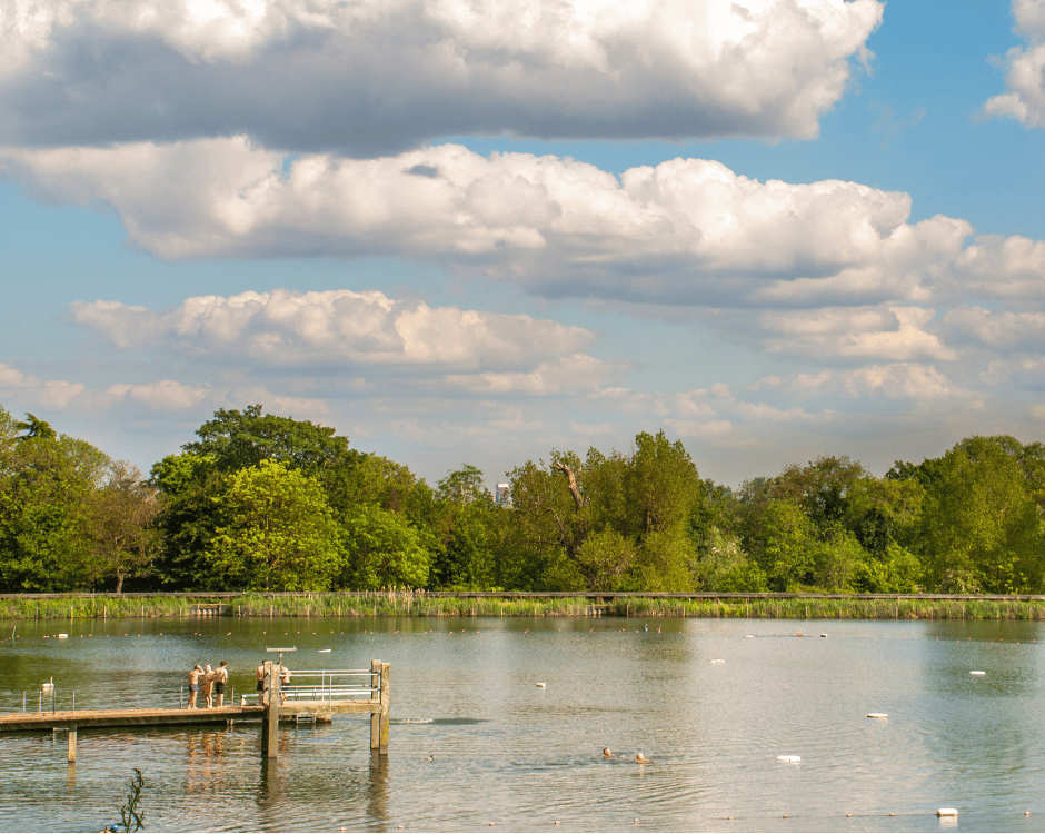 Hampstead Heath bathing ponds logo
