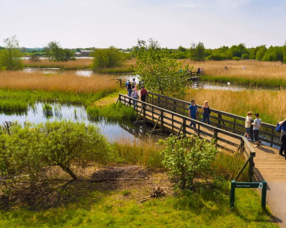 London Wetlands Centre logo