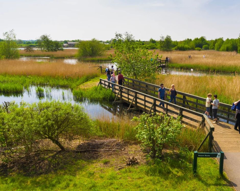 London Wetlands Centre logo