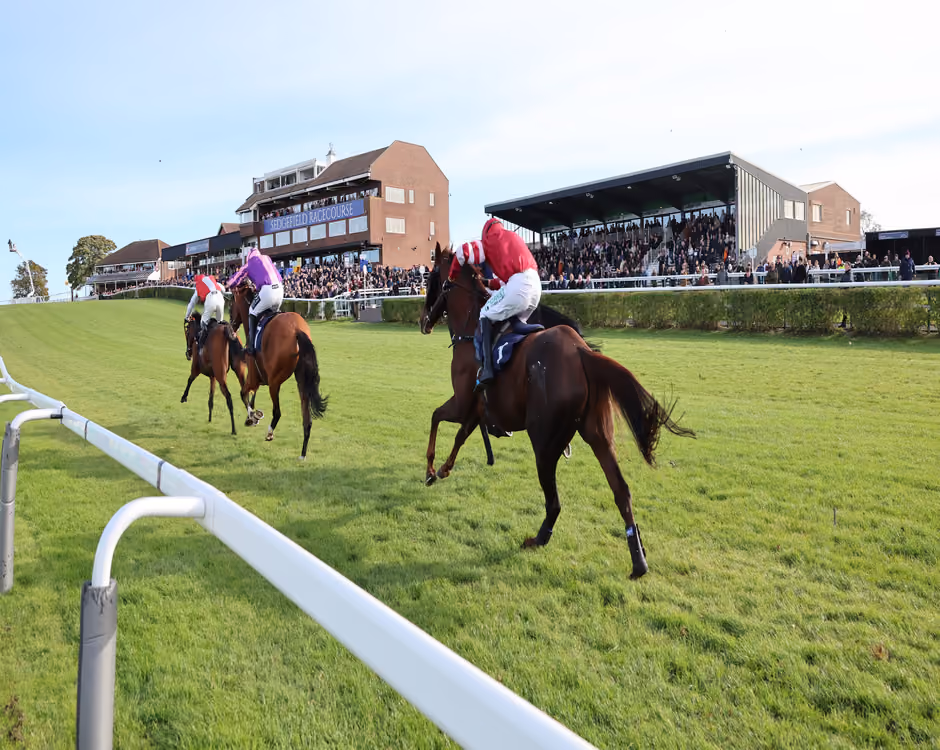 Claim your disability discount from Sedgefield Racecourse