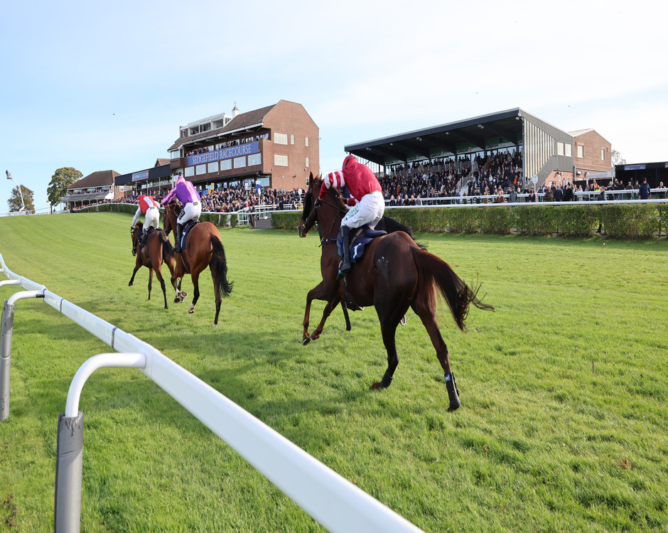 Sedgefield Racecourse logo