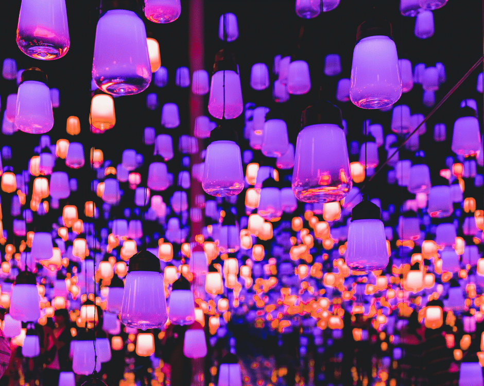Claim your National Disability Card offer from teamLab Tokyo