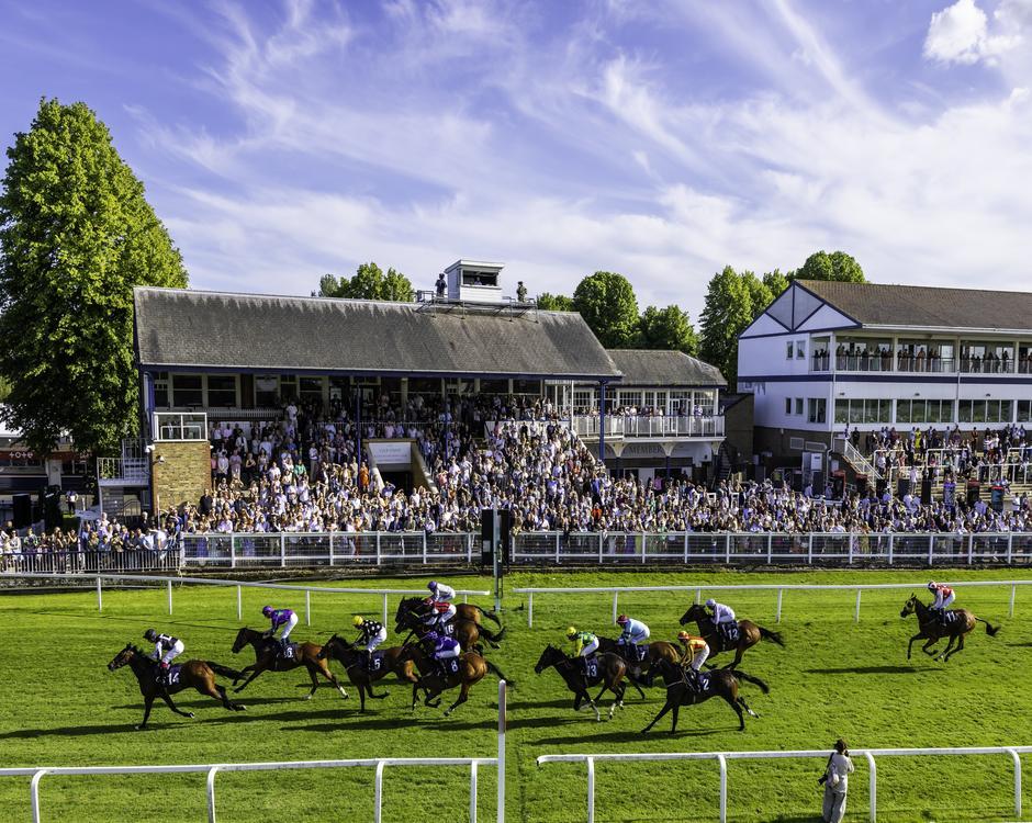 Royal Windsor Racecourse logo