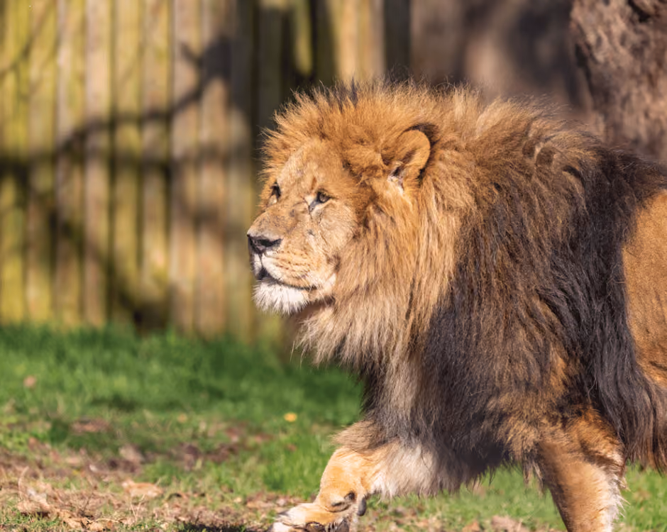 Paignton Zoo logo