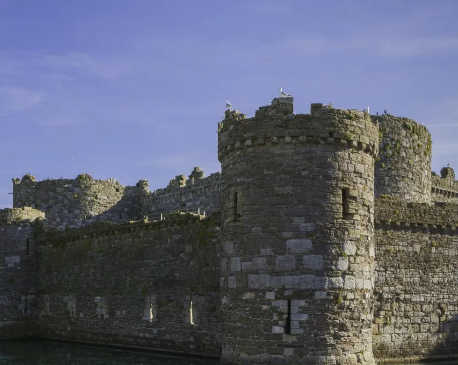 Beaumaris Castle logo