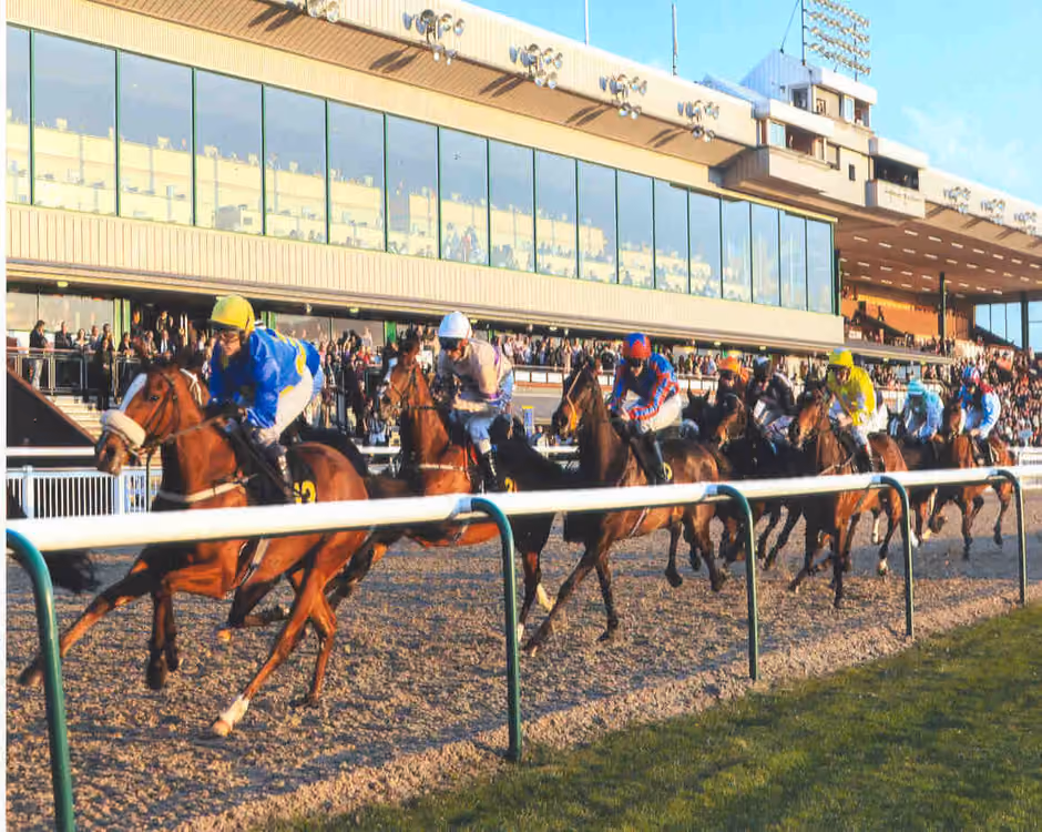 Wolverhampton Racecourse logo