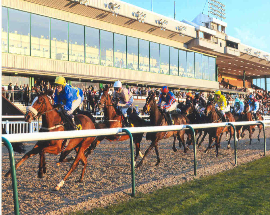Wolverhampton Racecourse logo