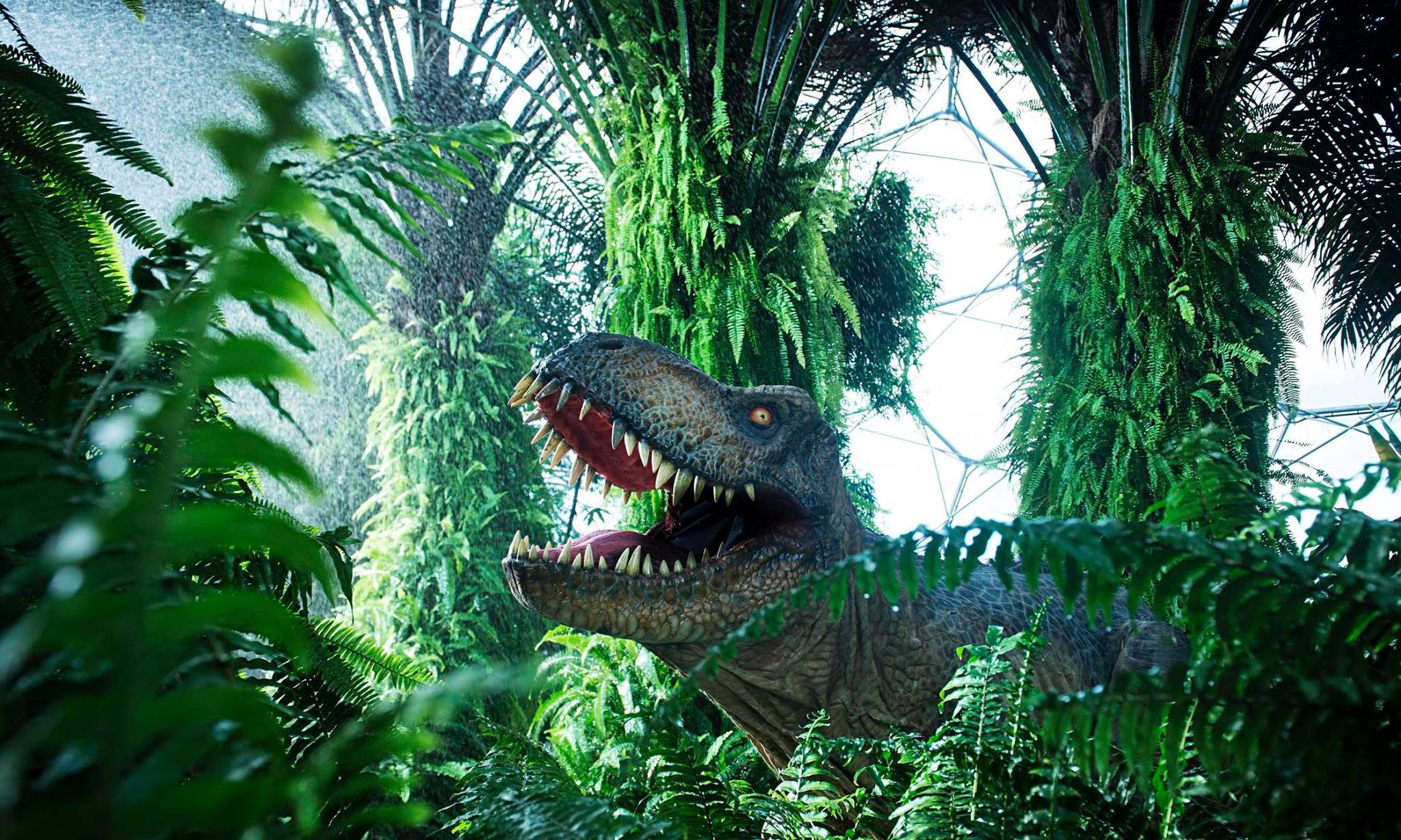 Logo of Tenby Dinosaur Park 
