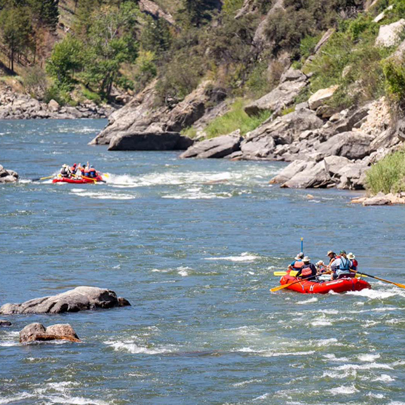 Scenic float salmon river, north fork, ID