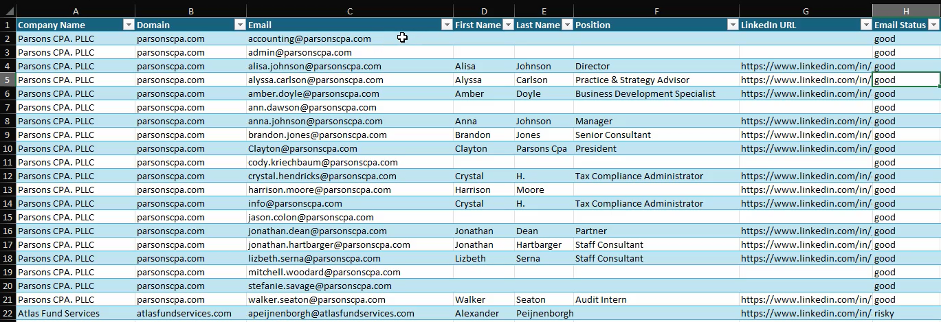 Screenshot of a spreadsheet listing employee details for companies. Columns include "Company Name," "Domain," "Email," "First Name," "Last Name," "Position," "LinkedIn URL," and "Email Status." Data includes examples like "Parsons CPA, PLLC" with positions such as "Director," "Manager," and "Audit Intern," and email statuses marked as "good" or "risky." LinkedIn URLs are provided for most employees. The last row displays data for "Atlas Fund Services."