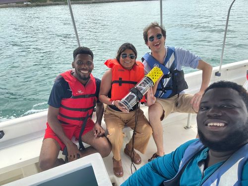 seaweed offsetting blue carbon credits