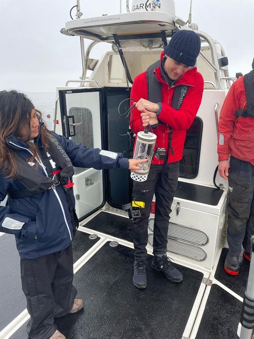 seaweed offsetting blue carbon credits