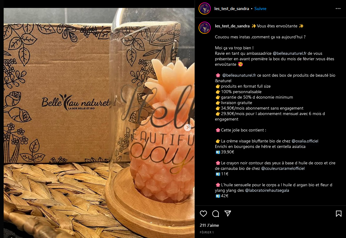 Affiliation réseaux sociaux