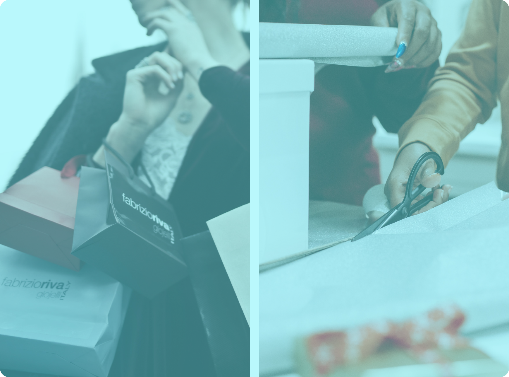 Nucleus Links Nucleus-Links Nucleus Link Nucleus-Link