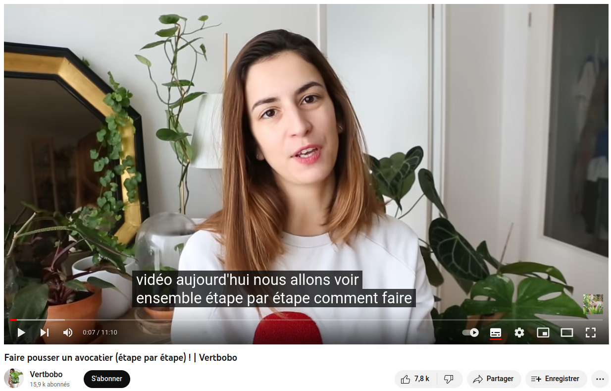 Influenceuse Youtube