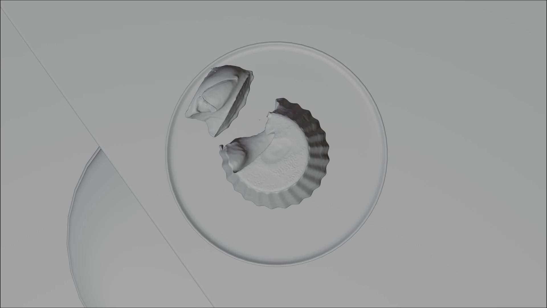 A frame from the music video visualisers for the song 'Slide' from Taliaferro that includes a car doing a burnout. 